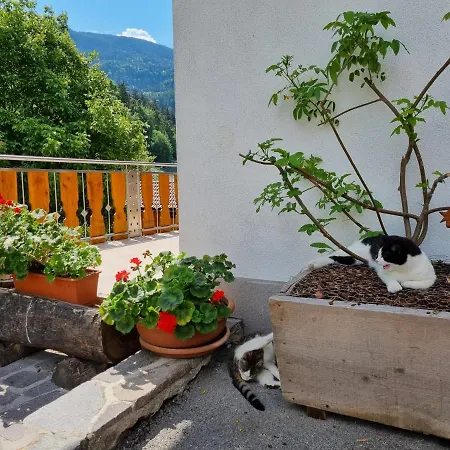 Ferienwohnungen Koflerhof-3